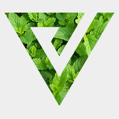 MENTHOL E-LIQUID